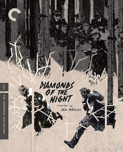 Blu-ray Review: DIAMONDS OF THE NIGHT Radiates Brilliant Delirium